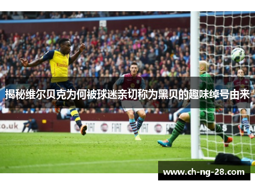 揭秘维尔贝克为何被球迷亲切称为黑贝的趣味绰号由来