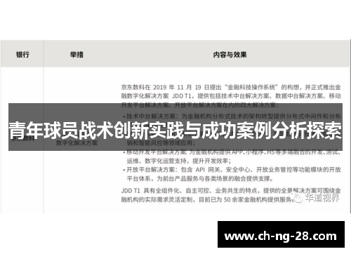 青年球员战术创新实践与成功案例分析探索